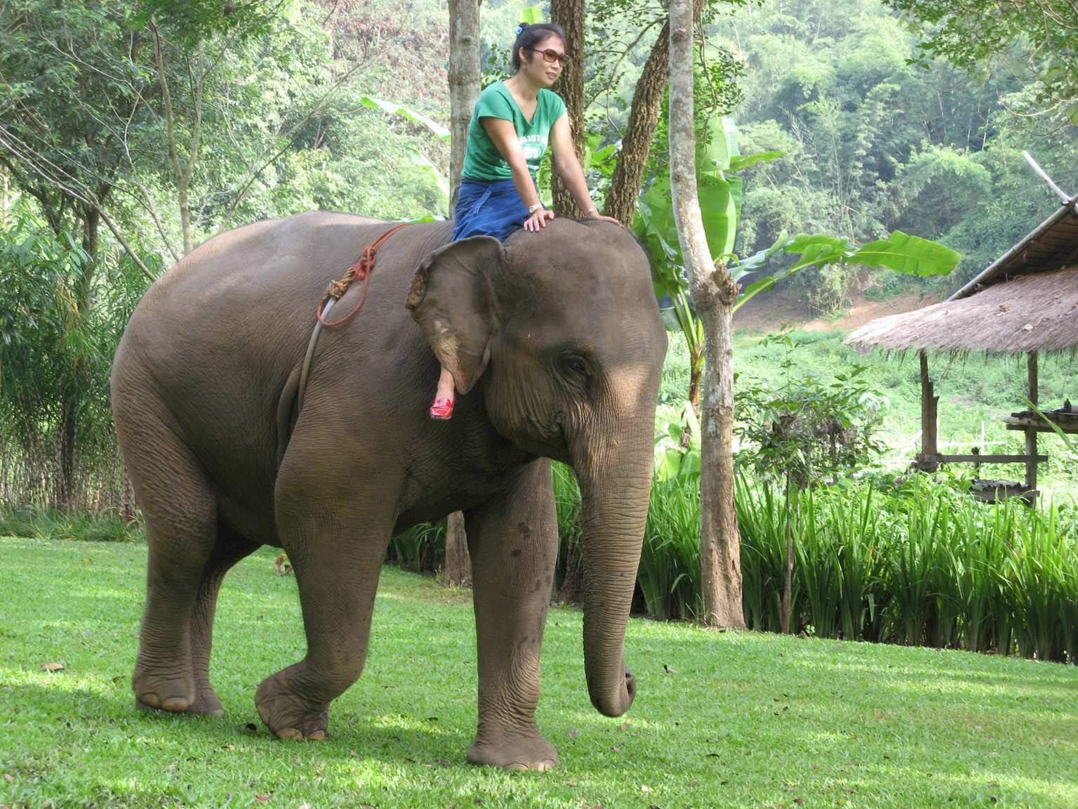 A 'mahout' course at the Anantara Golden Triangle, Thailand